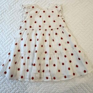 Crewcuts White Dress with Red Ladybug Print